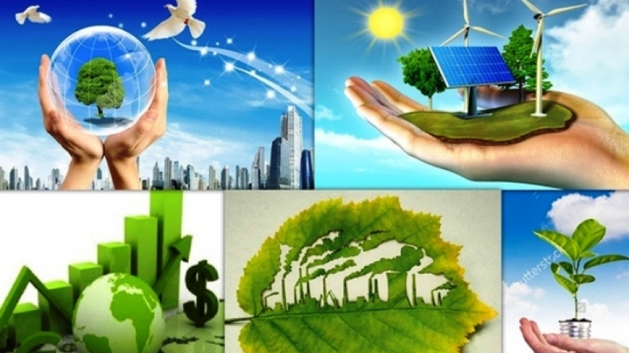 Webinar shares EU’s experience in transition to green economy